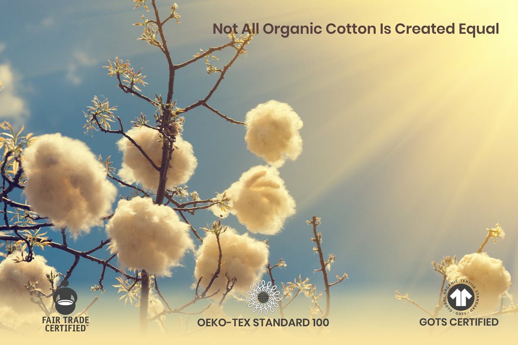 Not All Organic Cotton Is Created Equal