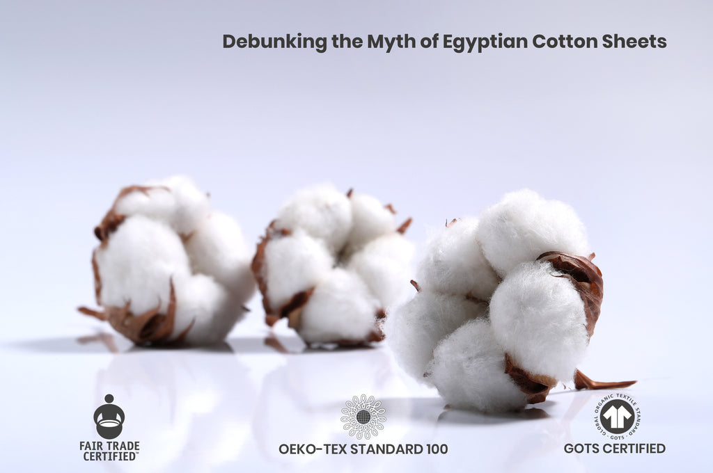Debunking the Myth of Egyptian Cotton Sheets